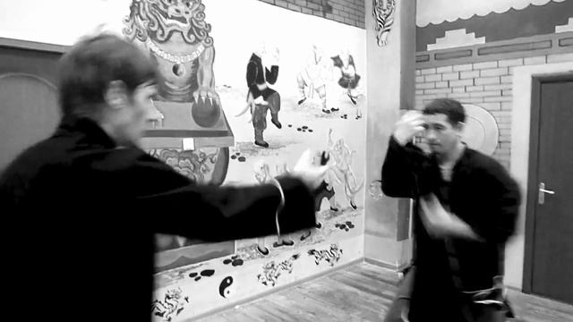 Шаолинь: лапа тигра VS крыло журавля