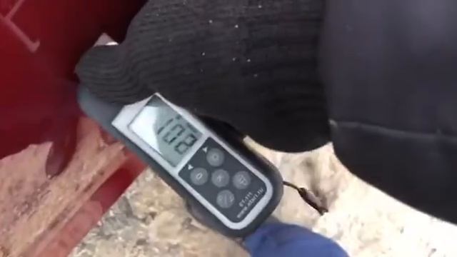 19 января 2021 г.