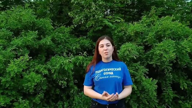 ИГРОТЕКА ВОЖАТОГО. Игры с залом  1 часть