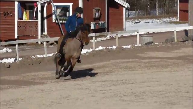 Snarfara från Sör Sellnäs Kurs för Peter häggberg Våren 2014!!