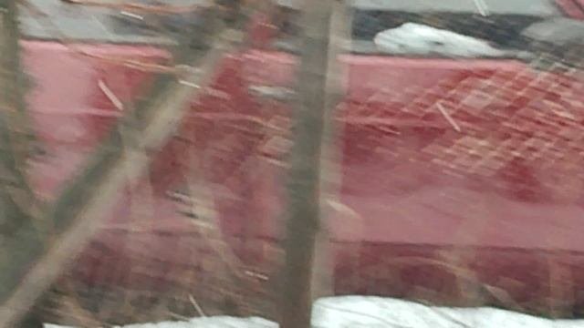 VID_20231204_125541.mp4