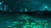 Save The Shellbugs! +2 Version - Blackreach Location