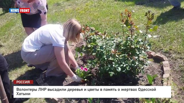 Волонтеры ЛНР высадили деревья и цветы в память о жертвах Одесской Хатыни