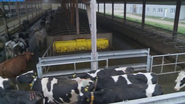 Einstreuwalze als Funktionsergänzung am Futtermischwagen