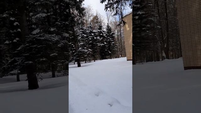 Возлюби ближнего Своего. Март в феврале))