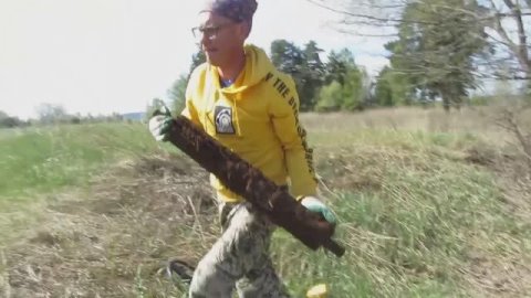 Нашёл свал металла в овражке