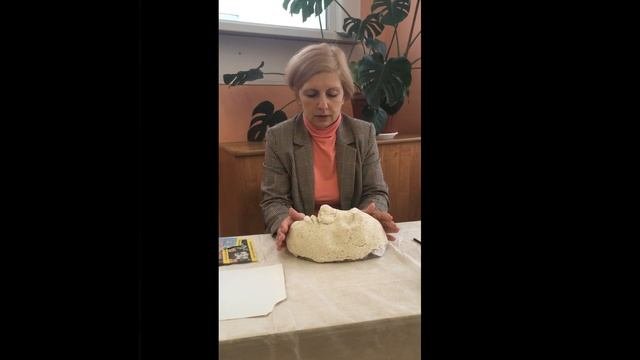 Мастер-класс по изобразительному искусству 