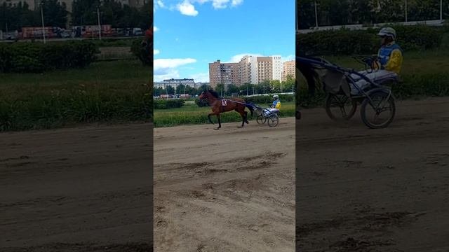 Мирабель Лок и мастер - наездник Раиль Габдрашитов.