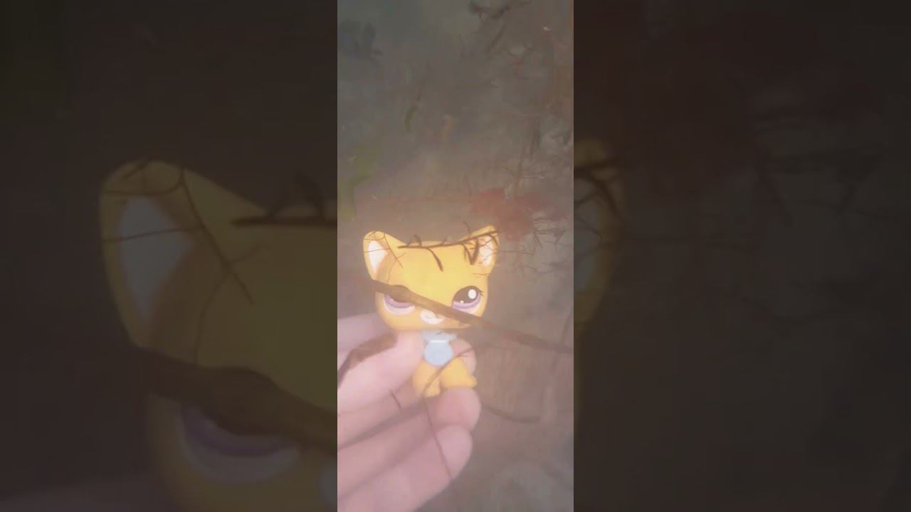 #short #lps  Лаки под водой