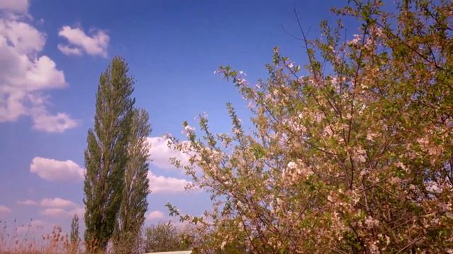 Минутка дачного релакса
