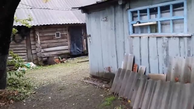 ПРОГУЛЯЮ ВАС ПОД ОСЕННИМ ДОЖДЕМ.НАМЫЛА И НАЧИСТИЛА ОВОЩЕЙ | ЖИВЕМ В ДЕРЕВНЕ.