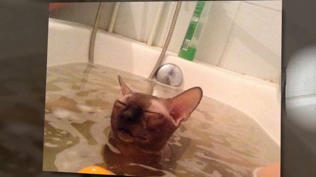 Почему вода мокрая?