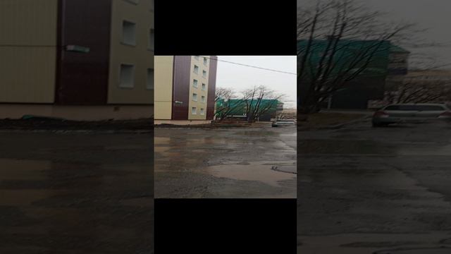 снега больше нет, теперь идет летний дождь