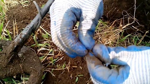Коп на скошенной поляне и поповские кресты