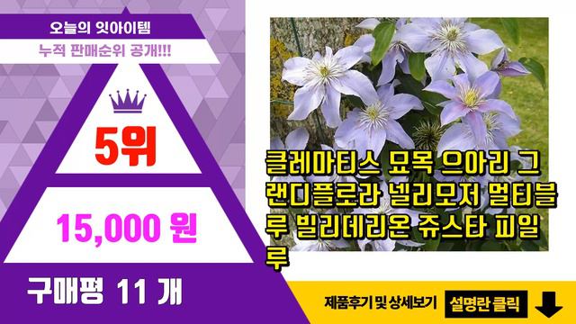 클레마티스 추천 판매순위 Top10 || 가격 평점 후기 비교