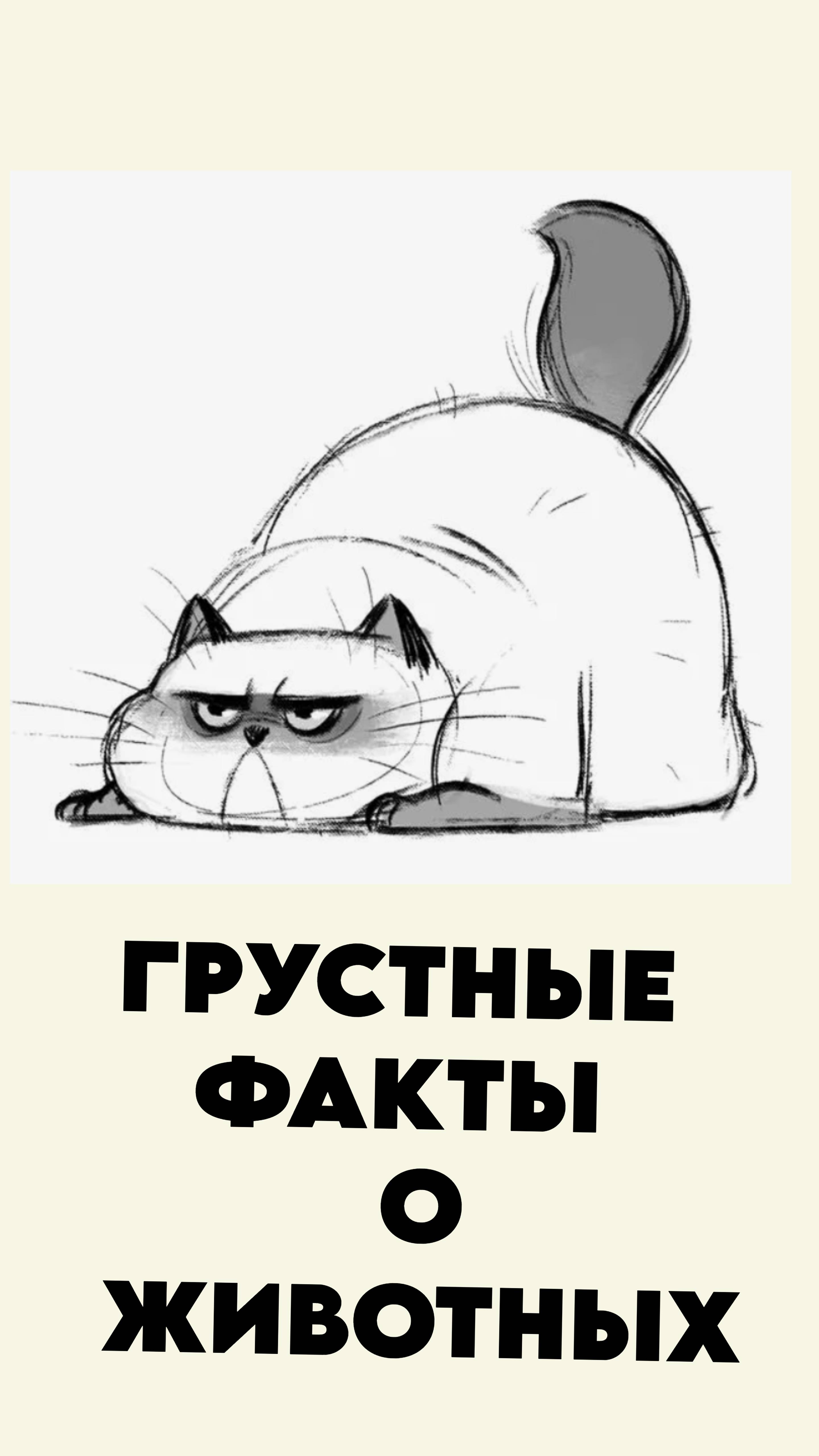 Грустные факты о животных 11