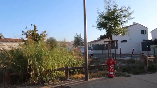 Переезд на юг Франции.Новости о здоровье свекров