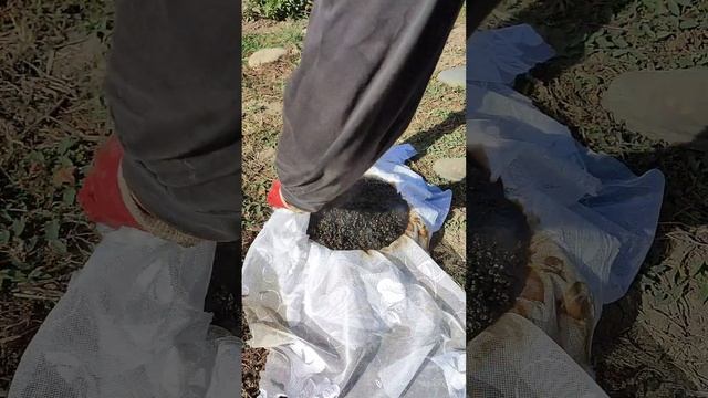 Топим воск самым доступным способом. Какой выход воска?! ???