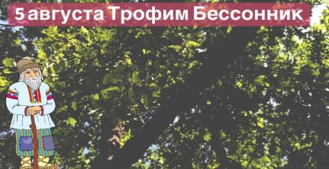 Смотреть видео онлайн