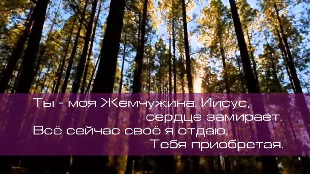 Христианское поклонение. Сборник №51