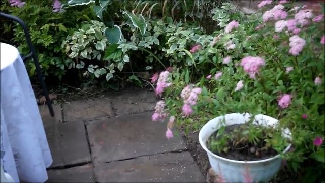 Дизайн патио. Создаем миксбордер вокруг патио. Mixborders. Patio.