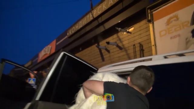 Очередная кража невесты во  Владикавказе