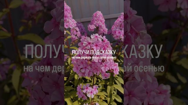 Подробности в комментариях #таро #коуч #нейрокоуч #астрология #мотивация #астропрогноз