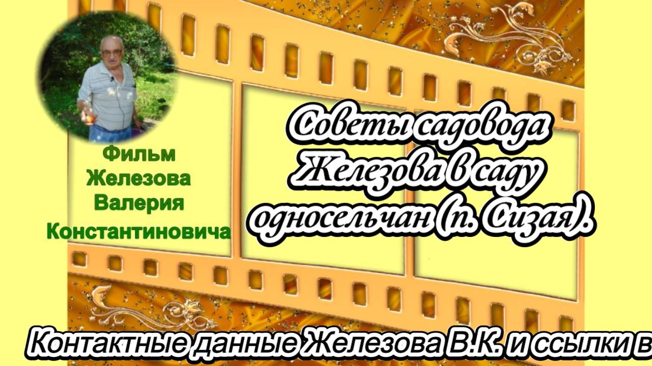 Советы садовода Железова в саду односельчан (п. Сизая).