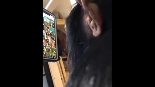 Monkey Watching Instagram / Обезьяна смотрит ленту инсты / Skilled Monkey At Social Media
