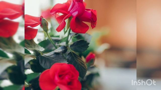 Самое важное - семья, самые близкие, которых в обыденности порой не замечаешь.