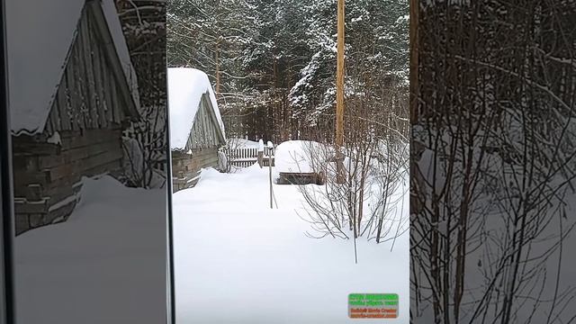 Зима .