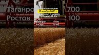 Закупочные цены 15.11.2023г. на пшеницу 4 класса (протеин ≥ 12,5%) в портах Азовского и Чёрного моря
