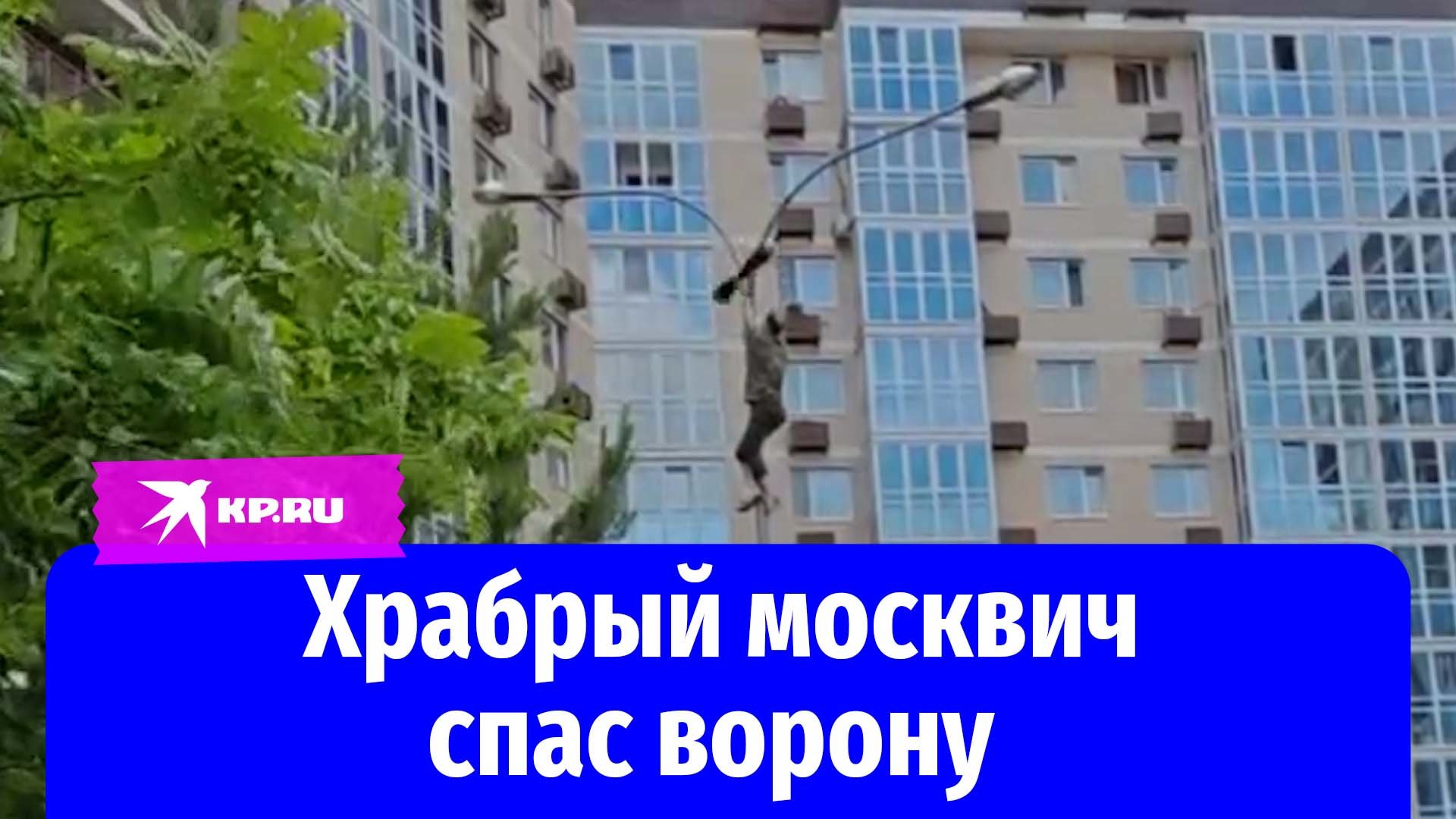 В Москве мужчина залез на столб и помог вороне