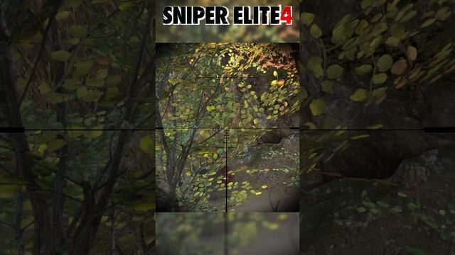 СНАЙПЕР ЭЛИТ 4. СЛОЖНОСТЬ МАКСИМАЛЬНАЯ Sniper Elite 4