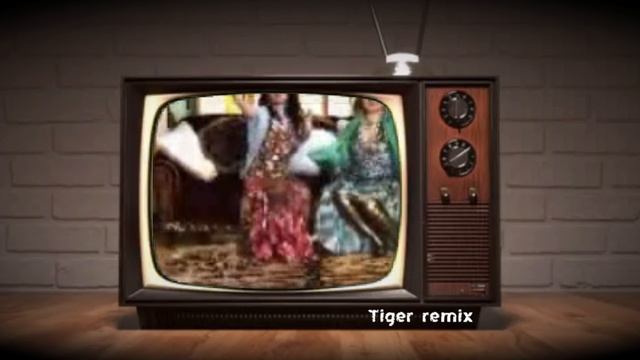 Setora - Ne Bo'sa Ham_Tiger remix