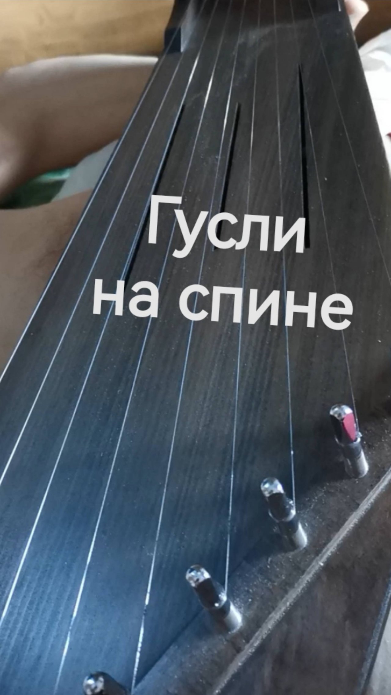 Гусли на спине.