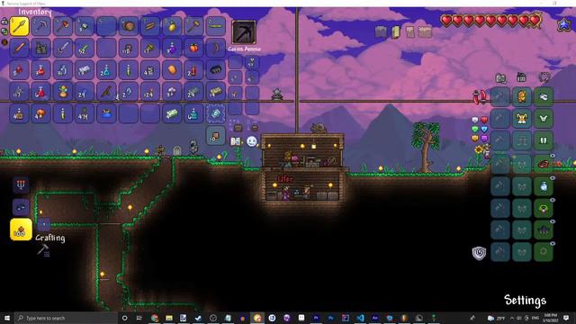 we cant fix the shop so lets play terraria