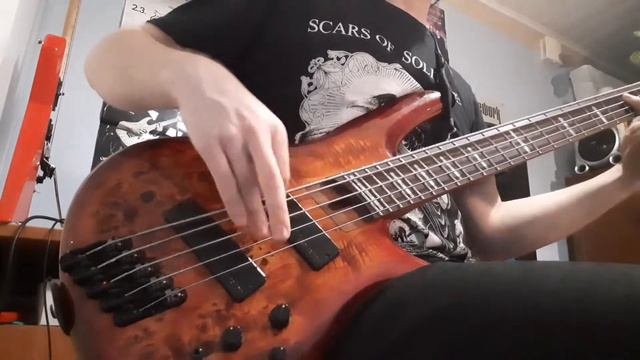 Everlore - The Poet (Bass Playthrough)
