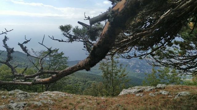 Национальный парк Крымский... Кордон Красный камень... 07.09.24 г.