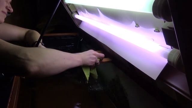 Меняю грунт в аквариуме на 230 л. Секрет чистой воды. Часть 2