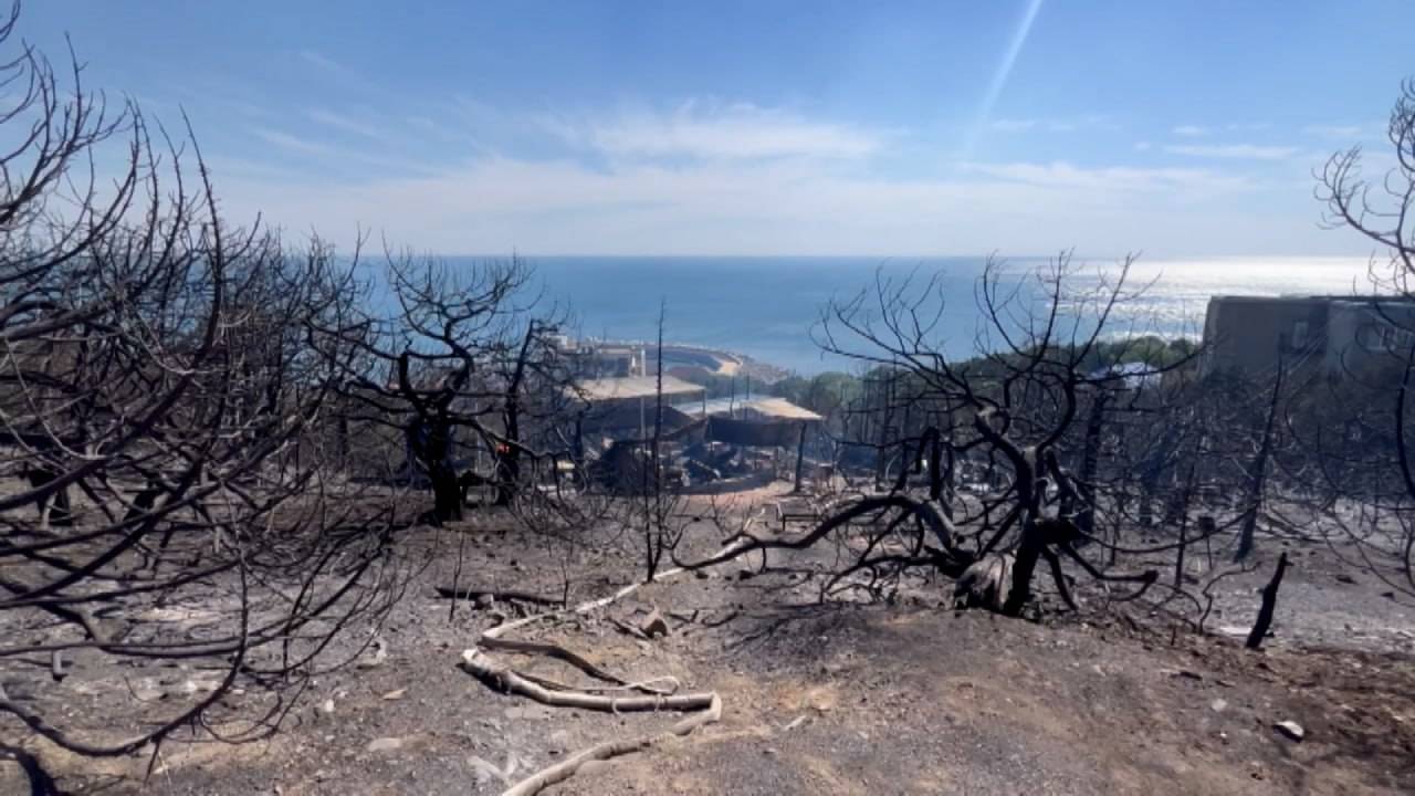С начала года на Кубани произошло 37 лесных пожаров