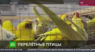 Телеканал «НТВ», программа «Чрезвычайное происшествие» , 24.04.2024