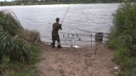 ловля амура на бойлы плавающие