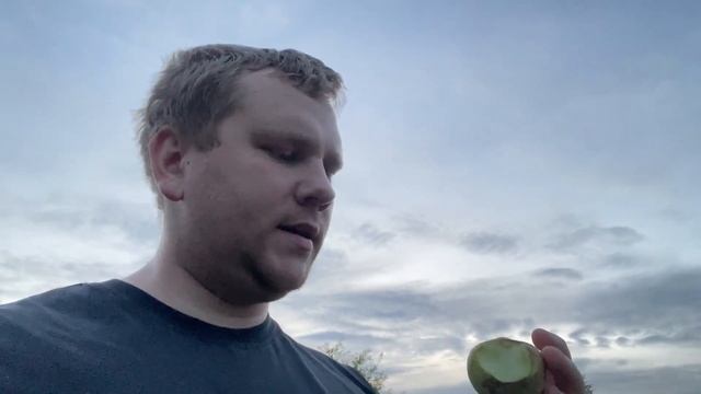 Избавился от клещей на садовом участке