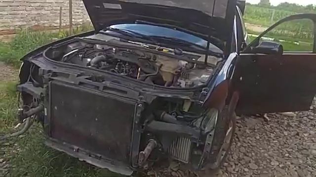 Timing belt 1.9 tdi AFN