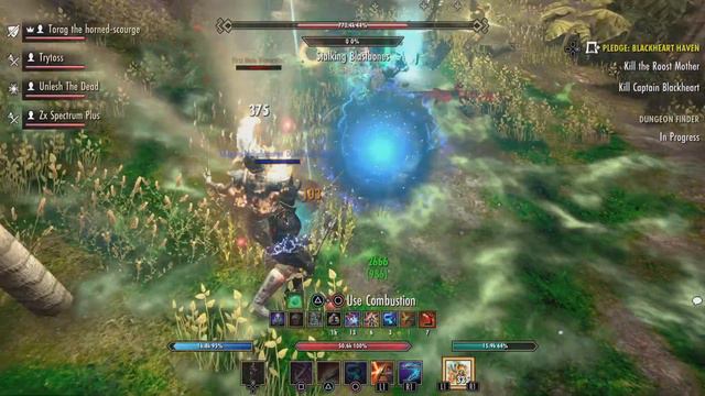The Elder Scrolls Online: Black Heart Haven Speedrun