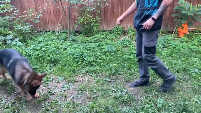Сид/леж/стой из движения