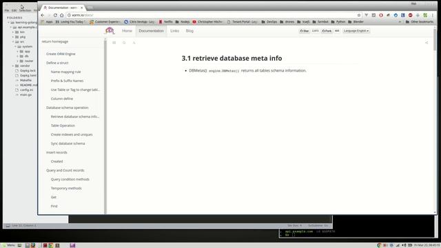 GoLang,VueJS - WebApp series [003] - Very Basic DB