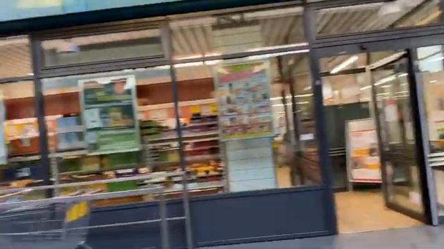 ПРОГУЛКА В ПРИЮТ ДЛЯ ЖИВОТНЫХ/НОСОЧНАЯ ПРЯЖА