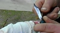 Как делать перепрививку деревьев(саженцев) видео урок смотрим